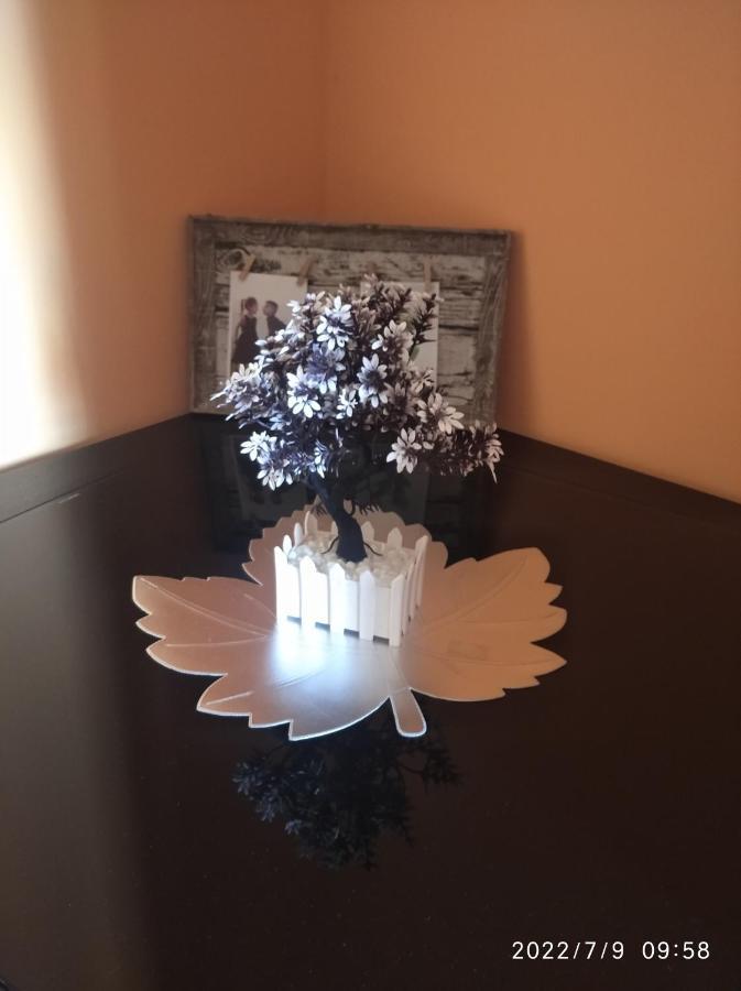Buric Rooms Nikšić 외부 사진